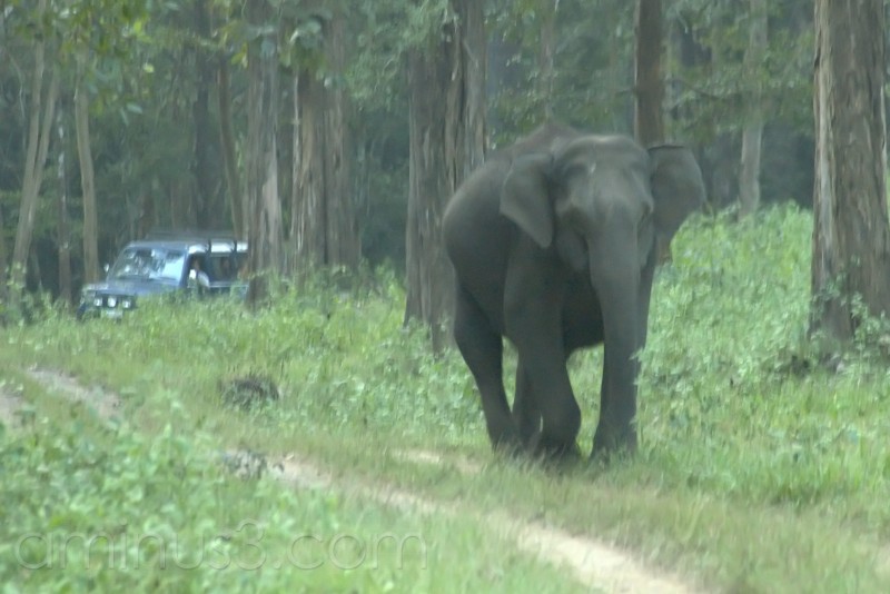 wayanad photos