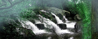 NATURAL HOME