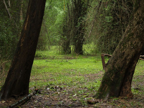 wayanad photos