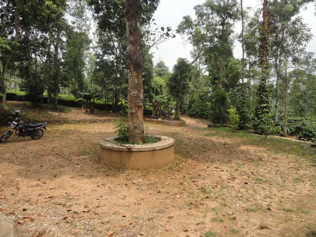HOMESTAY IN WAYANAD
