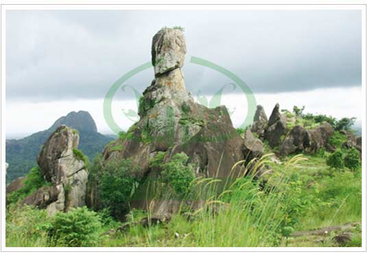 wayanad photos