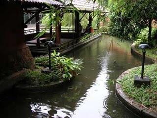Wayanad photos and pictures
