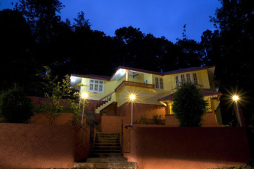 Forest Stay