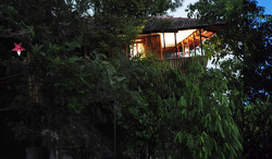 List of tree house in wayanad resorts