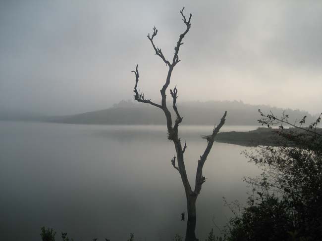 HOMESTAY IN WAYANAD