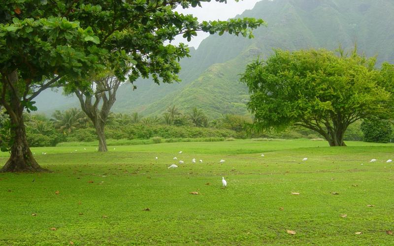 wayanad photos