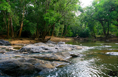 Wayanad tourist places