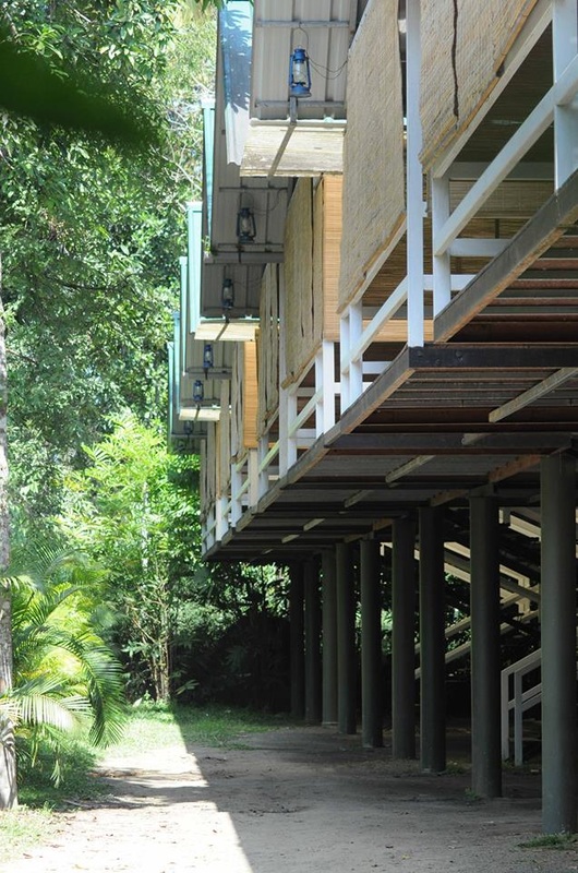 Homestay in muthanga forest