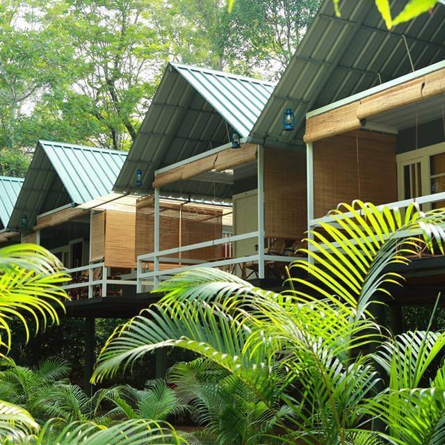 Homestay in muthanga forest