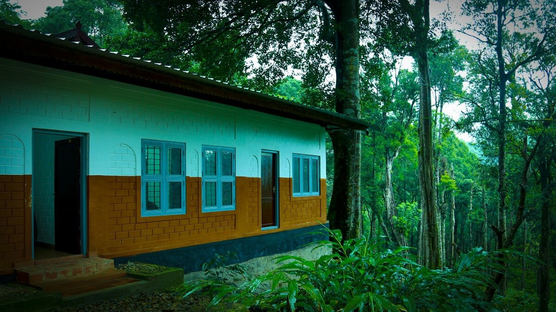 Deep Forest Stay