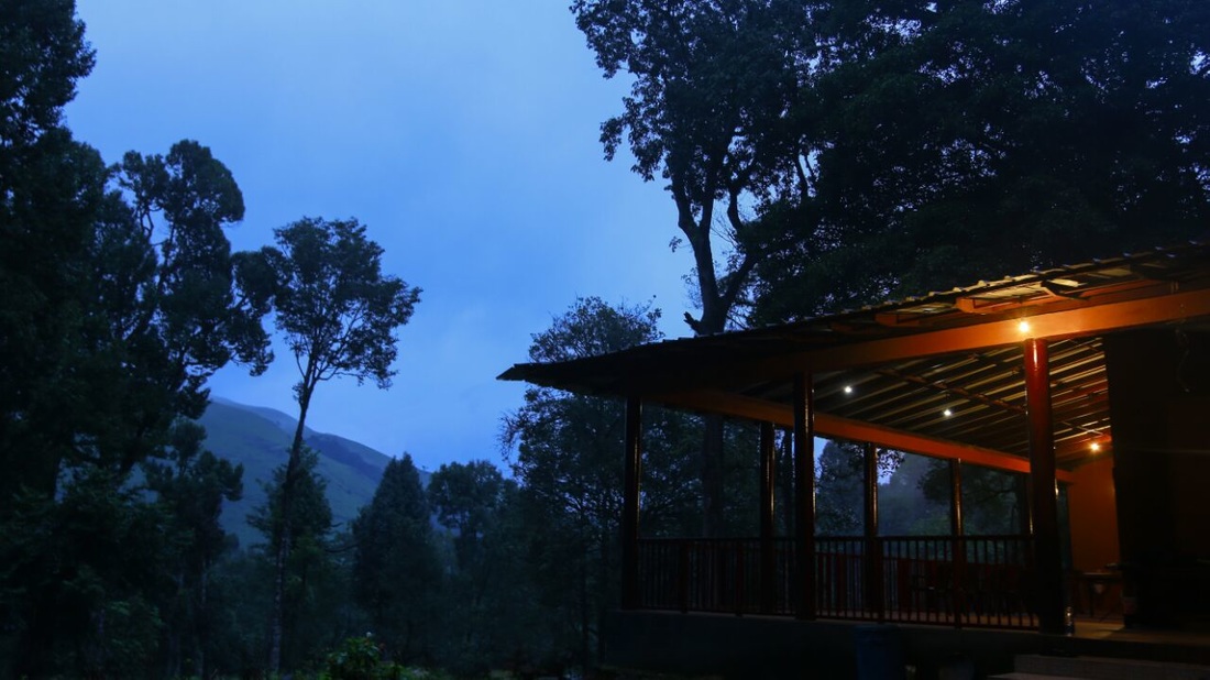 Deep Forest Stay