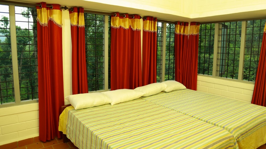 Deep Forest Stay