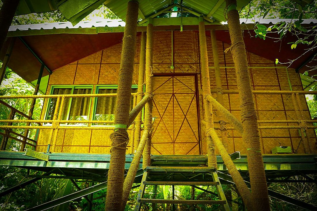 Nest home stay bathery
