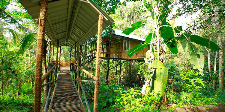 Nest home stay bathery