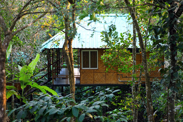 Nest home stay bathery