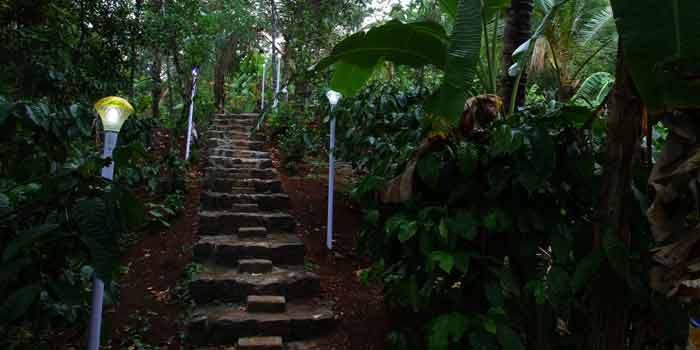 Nest home stay bathery