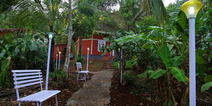 Nest home stay bathery