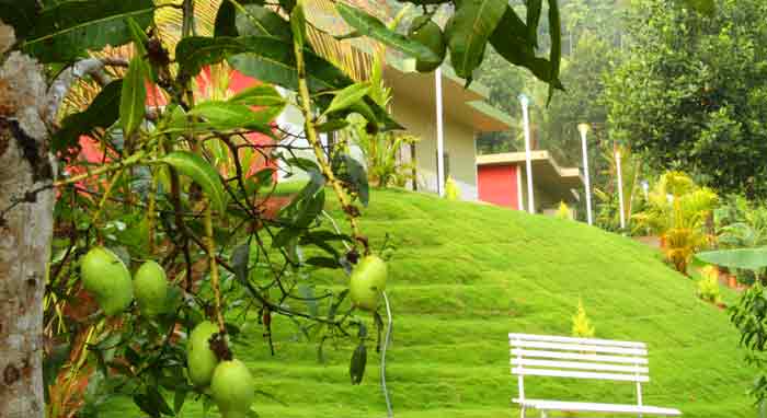 Nest home stay bathery
