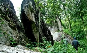 Stay forest with caves wayanad